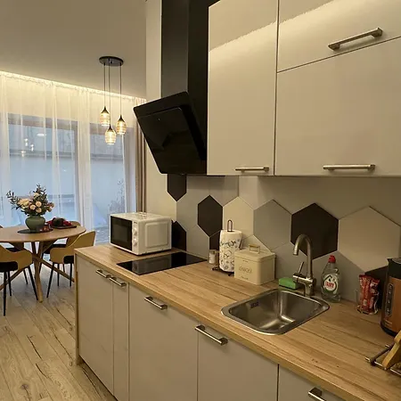 204 Old Town Apartment *
