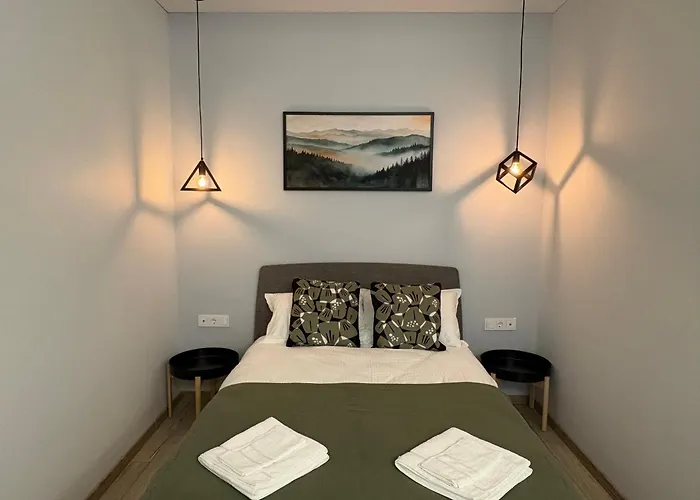 204 Old Town ヴィリニュス